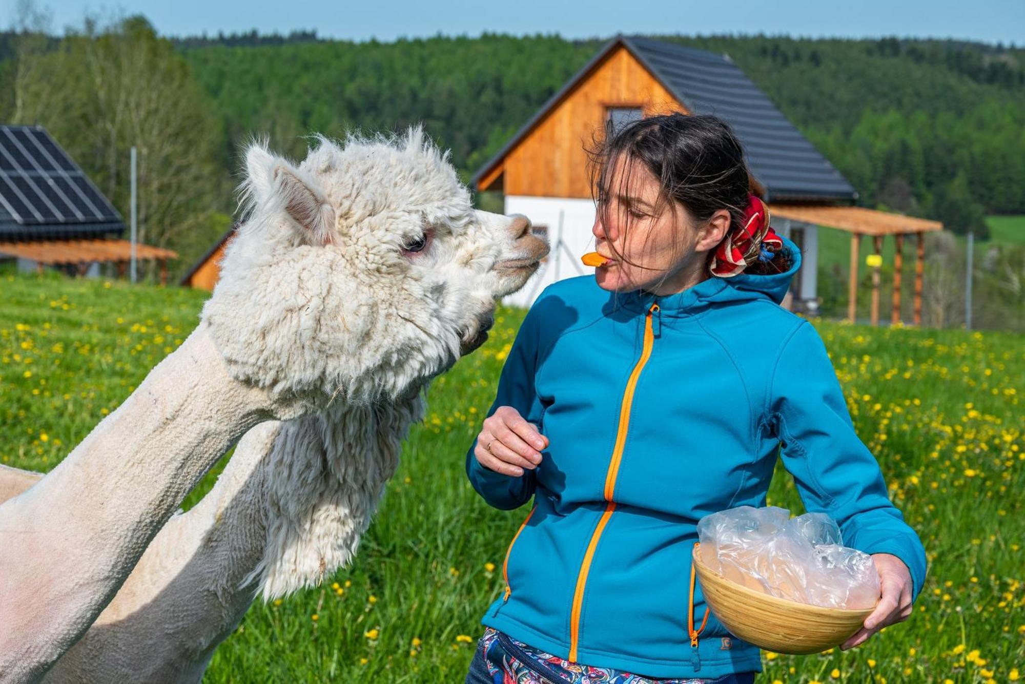 Pastelova Krova - Domki W Bieszczadach Ustrzyki Dolne Extérieur photo